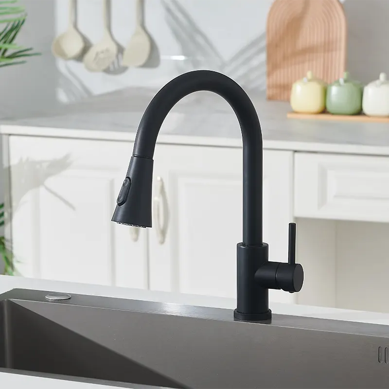 Keran dapur tarik keluar hitam